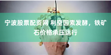 宁波股票配资网 利空因素发酵，铁矿石价格承压运行